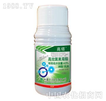 �G�S-����-��Ч�������