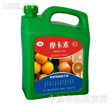 �̳��־����AҺ-Ħ����-��(qi��ng)о��(gu��)�H