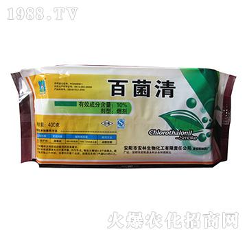 10%�پ���-����