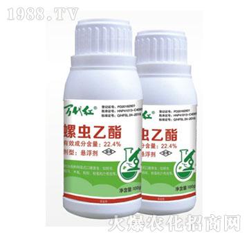 22.4%���x����-�f���t-�G��