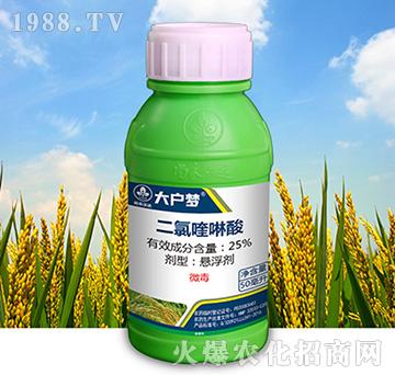 25%���������-����-�к����_(d��)