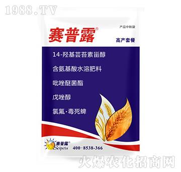 С���߮a�ײ�-ِ��¶