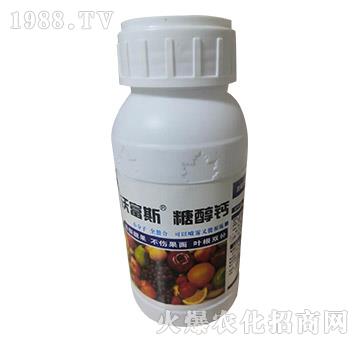 �Ǵ��}-�ָ�˹-���r(n��ng)����