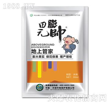 ���Ϲܼ�-����Ԫ��-��T����