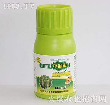 С�������S-�f�ڴ�