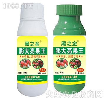 �O�������Ҍ������������-�R�Sֲ��