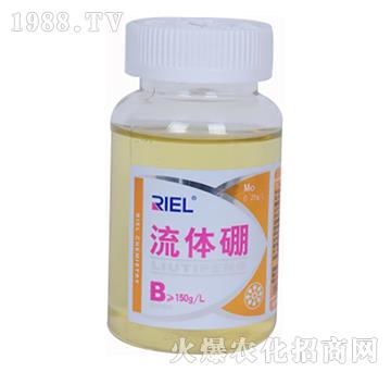 ���w��200������-����