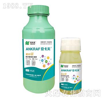 �Ǵ��V-������