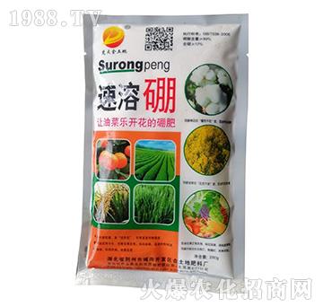 ������-���������