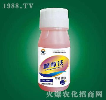 �Ǵ��F-�W�ʩ