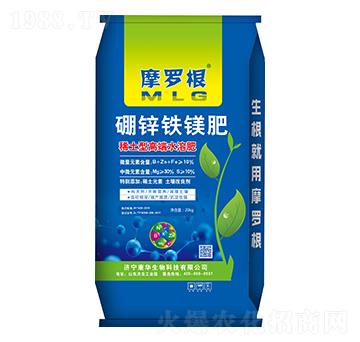 ���\�F�V��-Ħ�_��-���A����