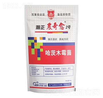 ����ľù��-����r(n��ng)����2̖(h��o)-������r(n��ng)