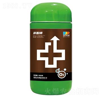 ����-�����ʘI(y��)