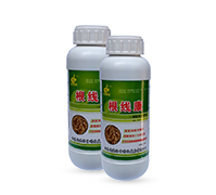 �B���Ը��Y���x����-������