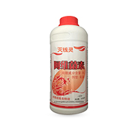 �����Y���x��Ч���羀�`