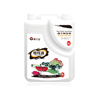 ������-���Y���x�ѽ℩