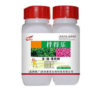 25%�ࡤ����������