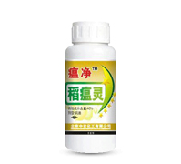 40%�����`-����