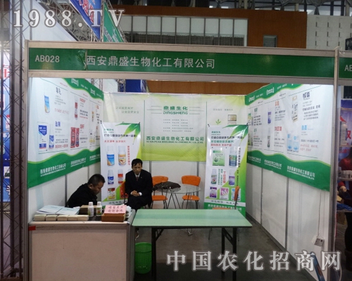 2013���Kֲ��չ�϶�ʢ��������E