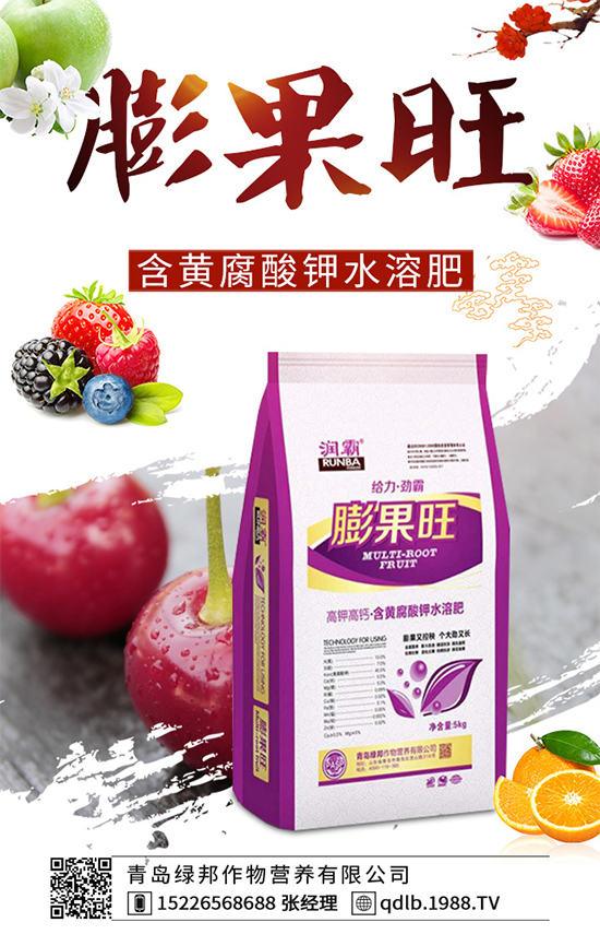 ���{ܛ��������Щ�Y����F������ΰl(f��)���������{ܛ�����A����ʩ