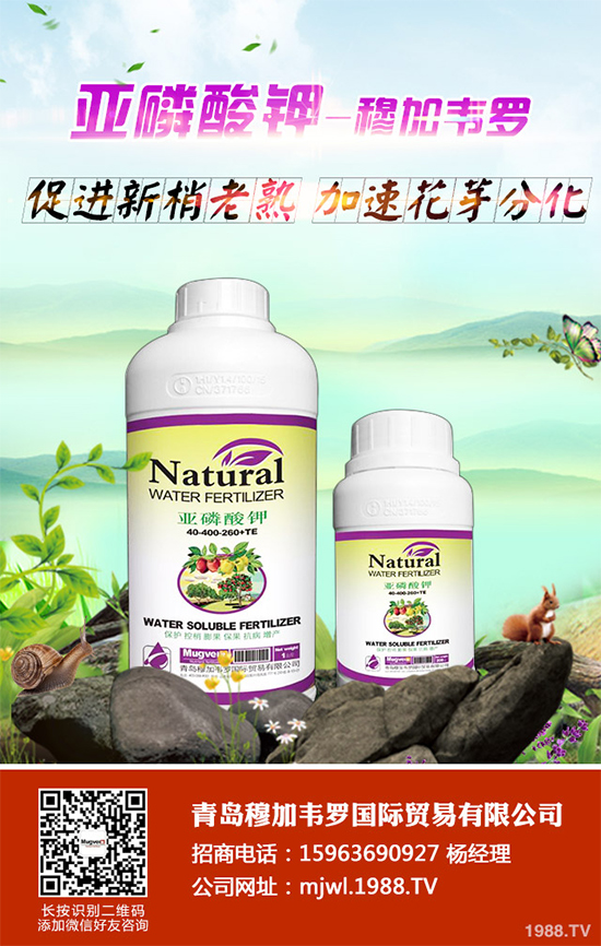 ���{ܛ��������Щ�Y����F������ΰl(f��)���ģ����{ܛ�����A����ʩ