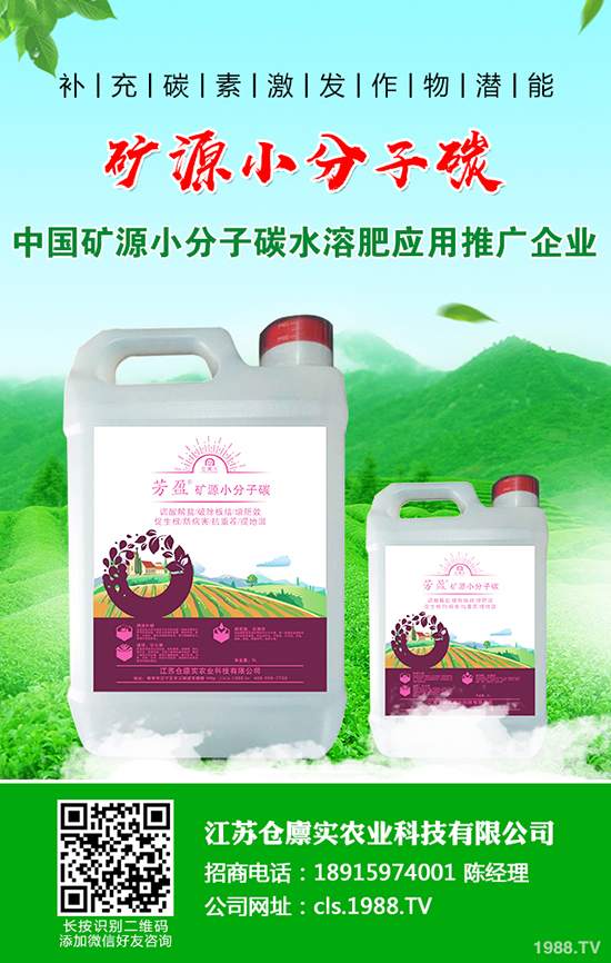 �R������l(f��)���߲���ô�k���R������߲����η�����