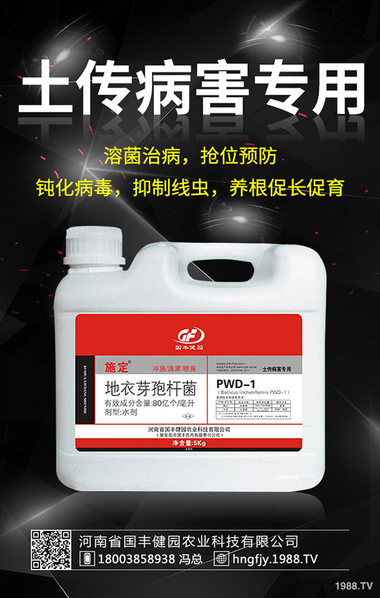 С�����݄�ʲô�r������С������݄��ĕr�g��ע�������