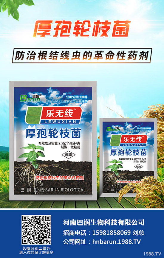 ����÷��ô�B(y��ng)������÷���B(y��ng)ֳ������ע�������