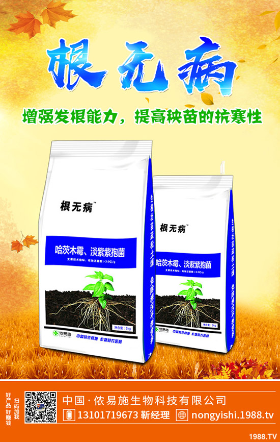     �����ǟ���߀�Ǜ������c������˵�ʳ������Щ��