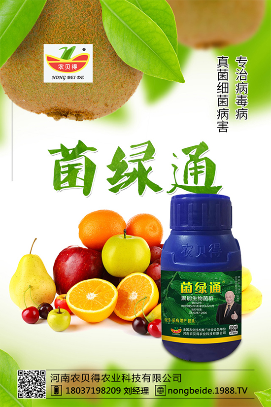 С��������_�x�N����֪������x�N�Ŀ��@����