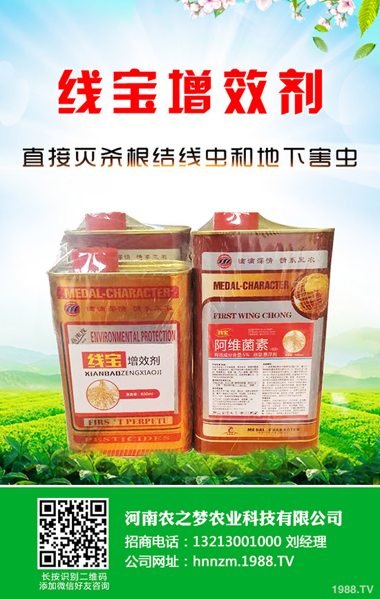 �۲˰l(f��)ѿ����ν�Q���۲˵Ĵ�ѿС������