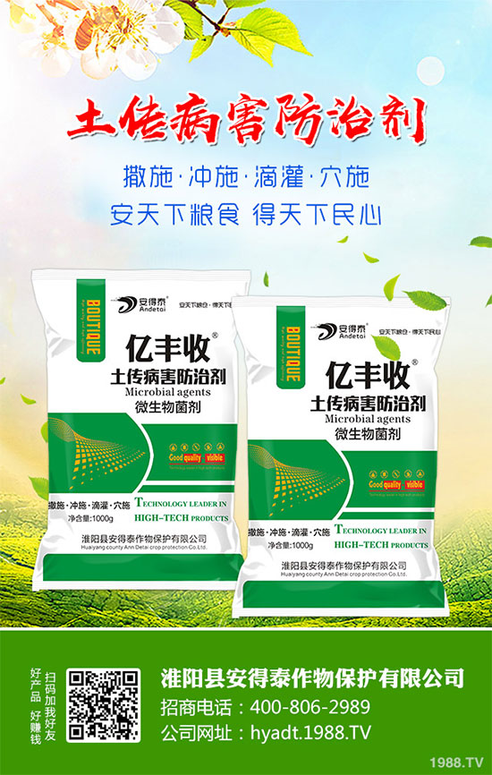 ���}���Ĺ�Ч�c���ã����}���I�B(y��ng)�r(ji��)ֵ��