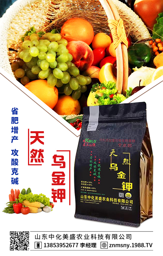 �۲˞�ʲô�����F(xi��n)�������۲˿��ĵķ��δ�ʩ��