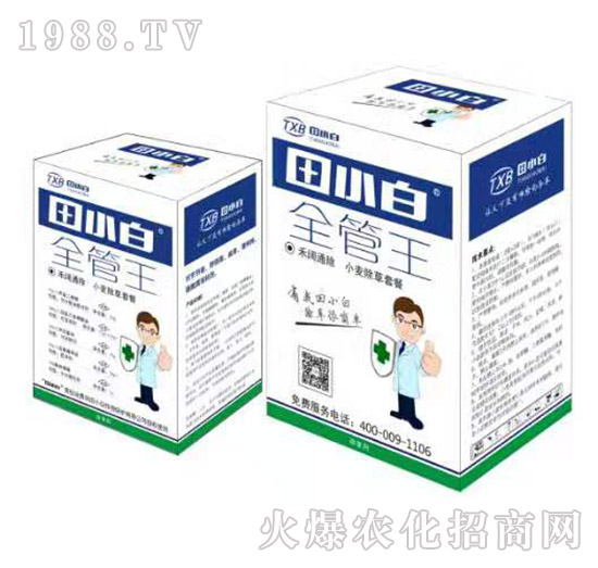 ��С��ȫ����