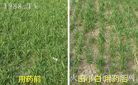 ��(ji��)��(ji��)����η�������ʲôˎ����ô��ˎЧ������