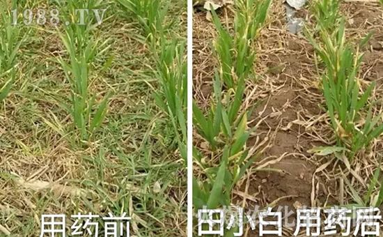 ��(ji��)��(ji��)����η�������ʲôˎ����ô��ˎЧ������