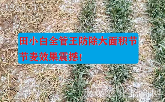 ��(ji��)��(ji��)����η�������ʲôˎ����ô��ˎЧ���ã�