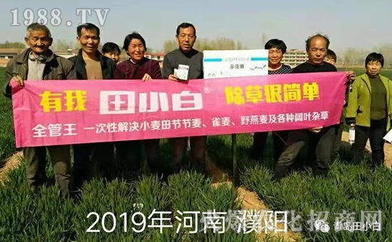 39��(ji��)��(ji��)����η�������ʲôˎ����ô��ˎЧ������