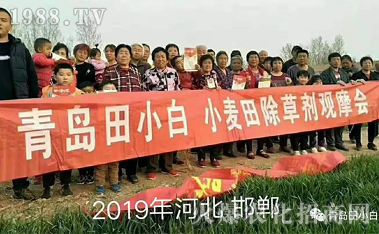 ��(ji��)��(ji��)����η�������ʲôˎ����ô��ˎЧ������