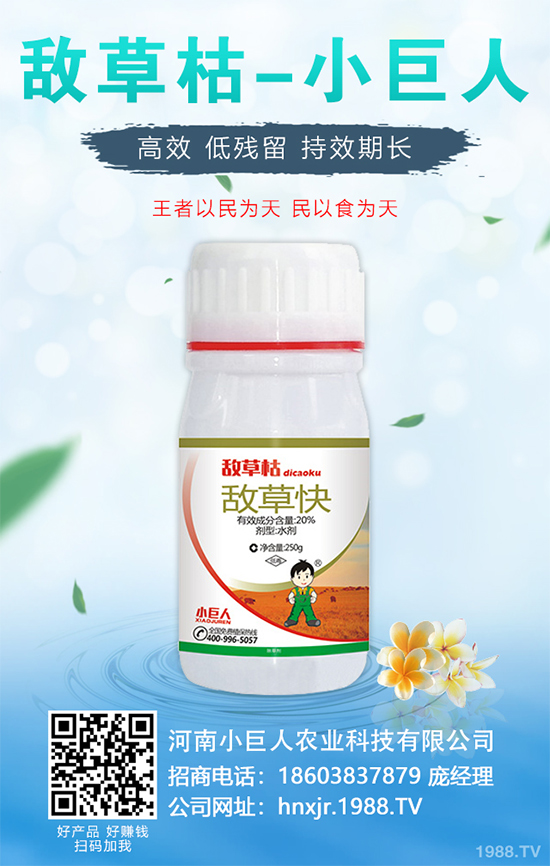 ���y���ķNֲ���g(sh��)��2020����y���Nֲǰ������