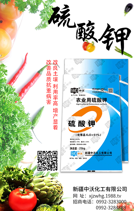 �½����ֻ������޹�˾