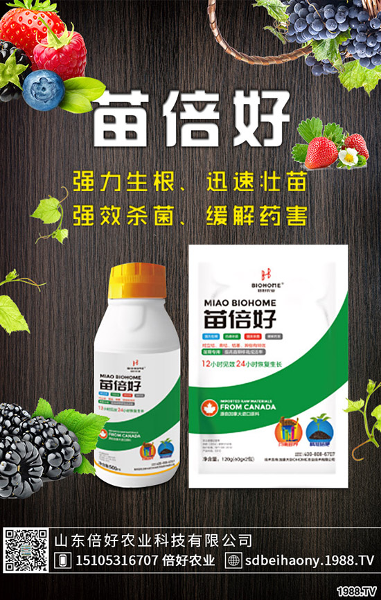 С�����N�󲻳����������ԭ����������С��������?