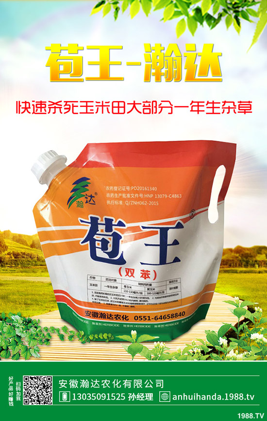 ʯ骻���ô�Nֲ��ʯ骻����B(y��ng)ֳ������