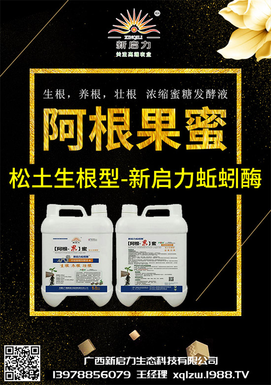 ���{(l��n)��Ä������ЩΣ��������{(l��n)�����İl(f��)���c���μ���