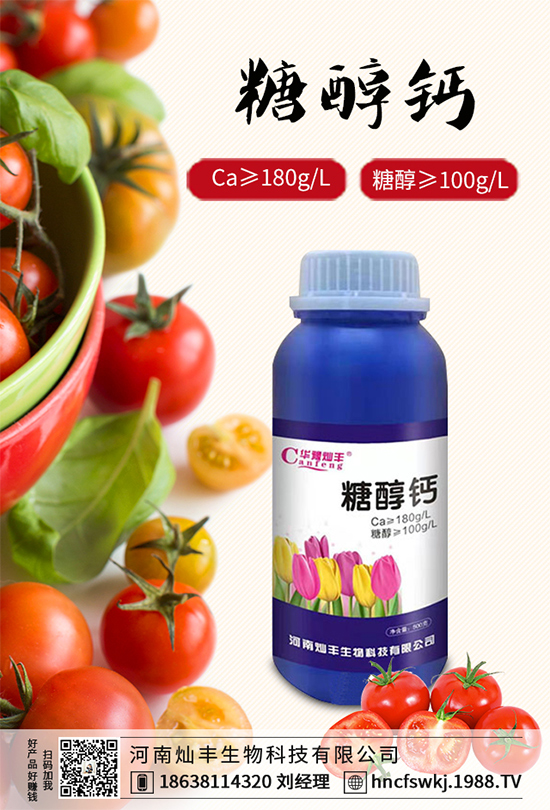 ���{(l��n)���ݲ���(l��i)�u������ԓ��η��������{(l��n)���ݲ����δ�ʩ