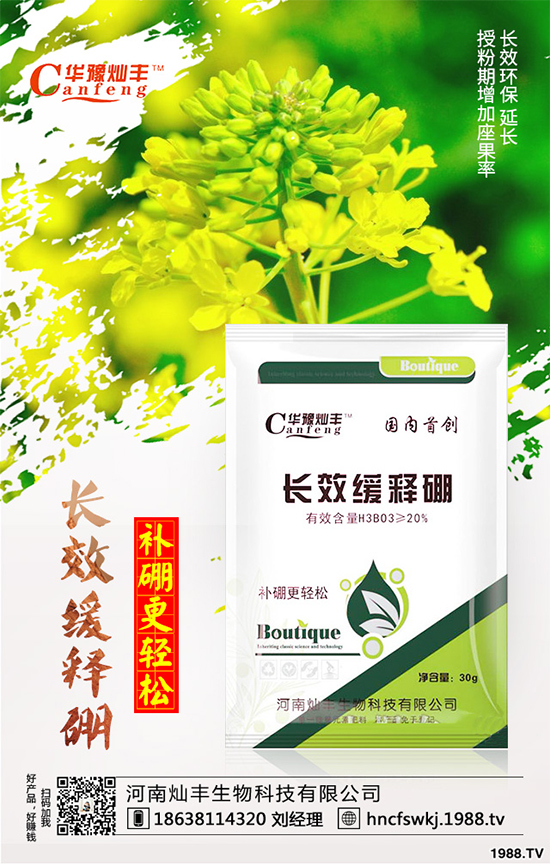 ���{(l��n)���ݲ���(l��i)�u������ԓ��η��������{(l��n)���ݲ����δ�ʩ