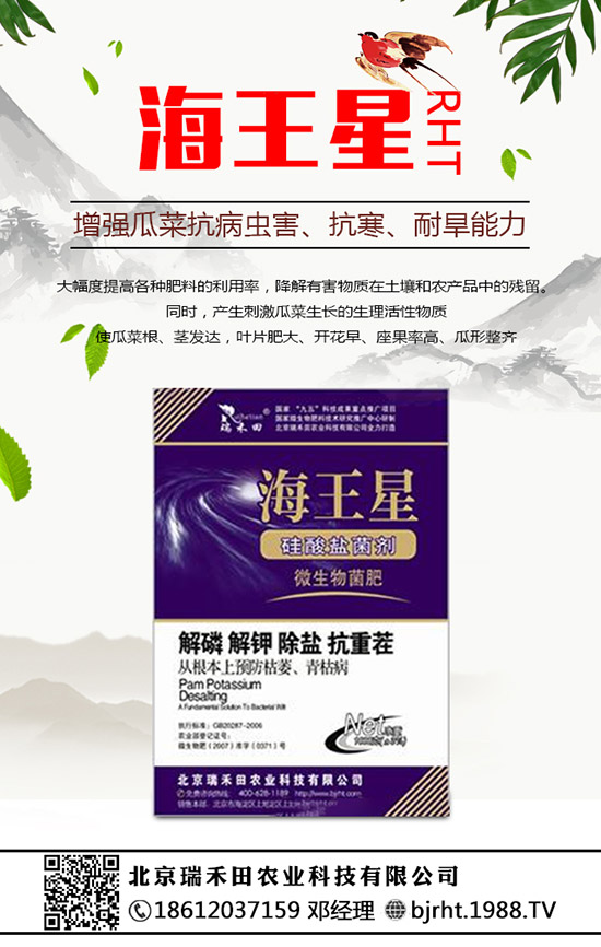 2020��Nֲ������ٍ�X(qi��n)�����������ķNֲǰ��������