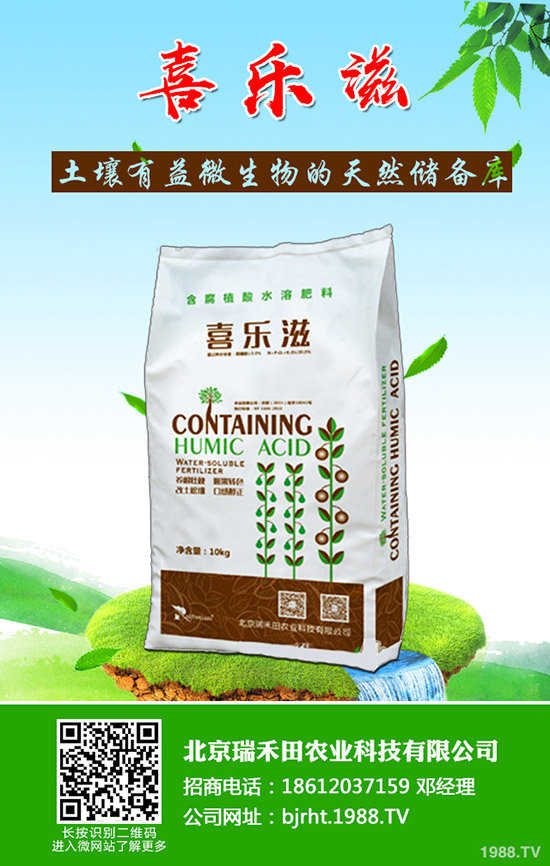 �����~Ƭ�l(f��)�S����ô�����������~Ƭ�l(f��)�S��ô������