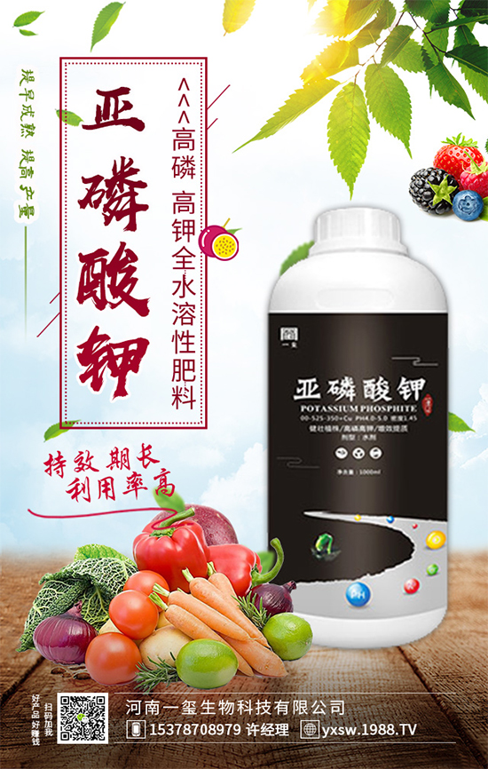 ���Ҙ��ʲô���Y(ji��)�������Ҙ䲻�Y(ji��)����(sh��)�ĵĽ�Q������