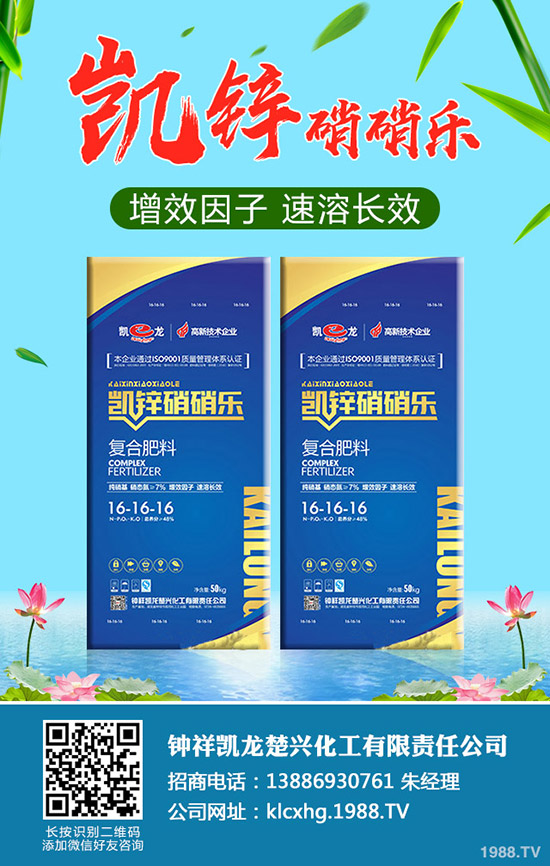 ʲô���ЙC��ײˣ��ЙC��ײ˷NֲҪ�c����Щ��